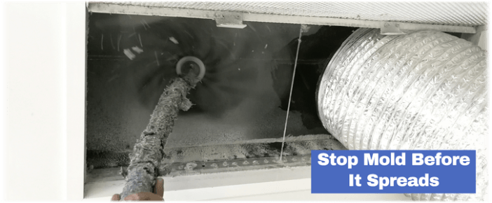 Air Duct Mold Removal in Lancaster