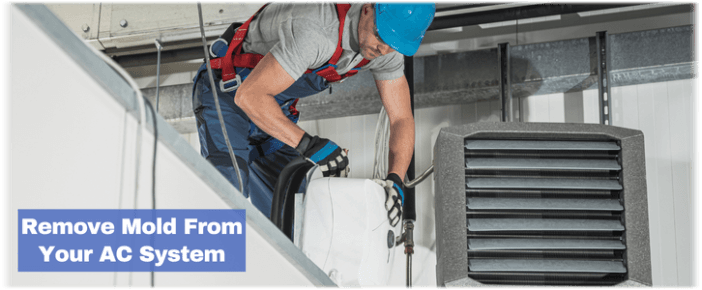 HVAC Mold Removal Lancaster
